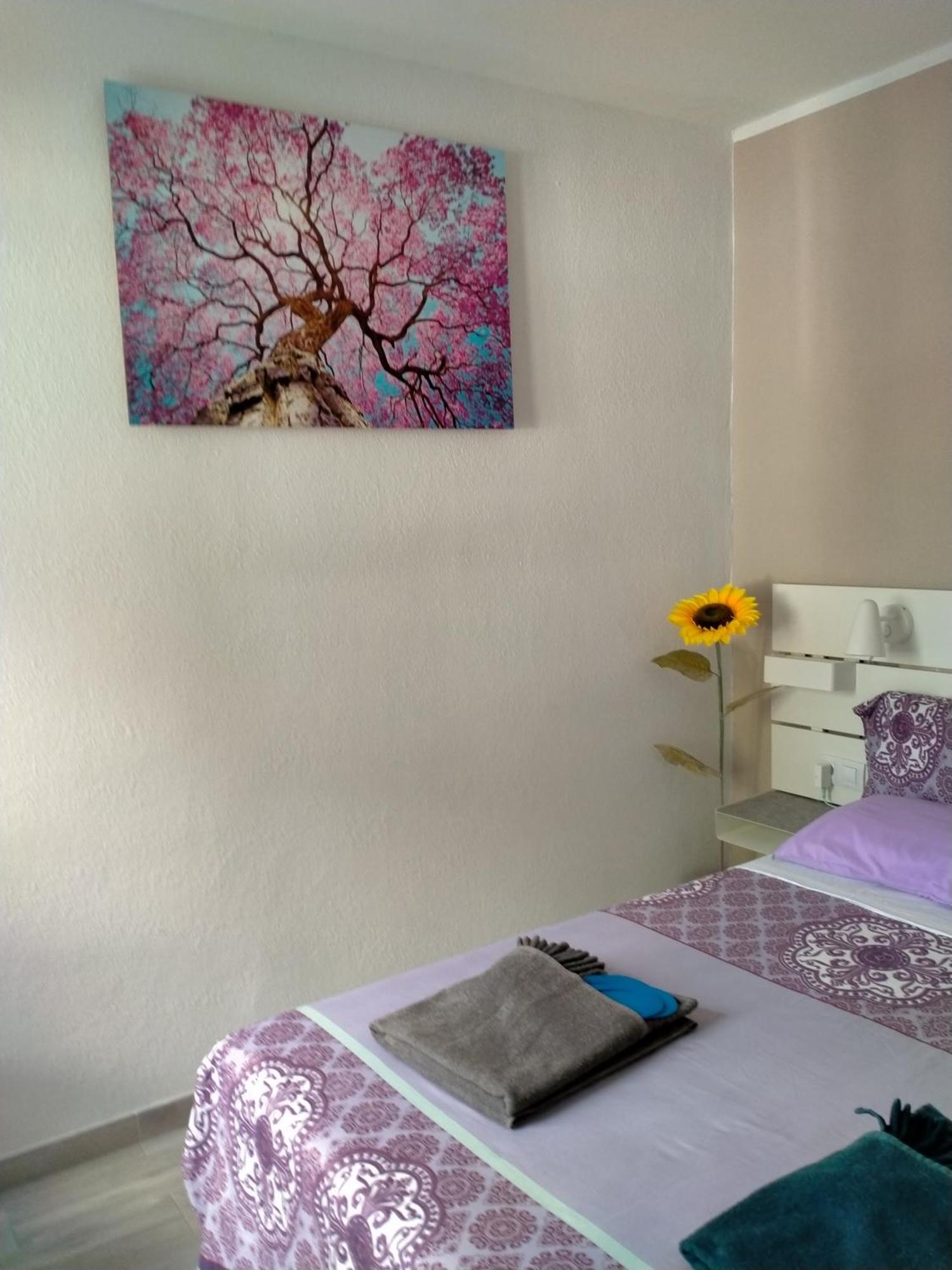 Apartament La Casa De Marcoq Costa Calma Zewnętrze zdjęcie